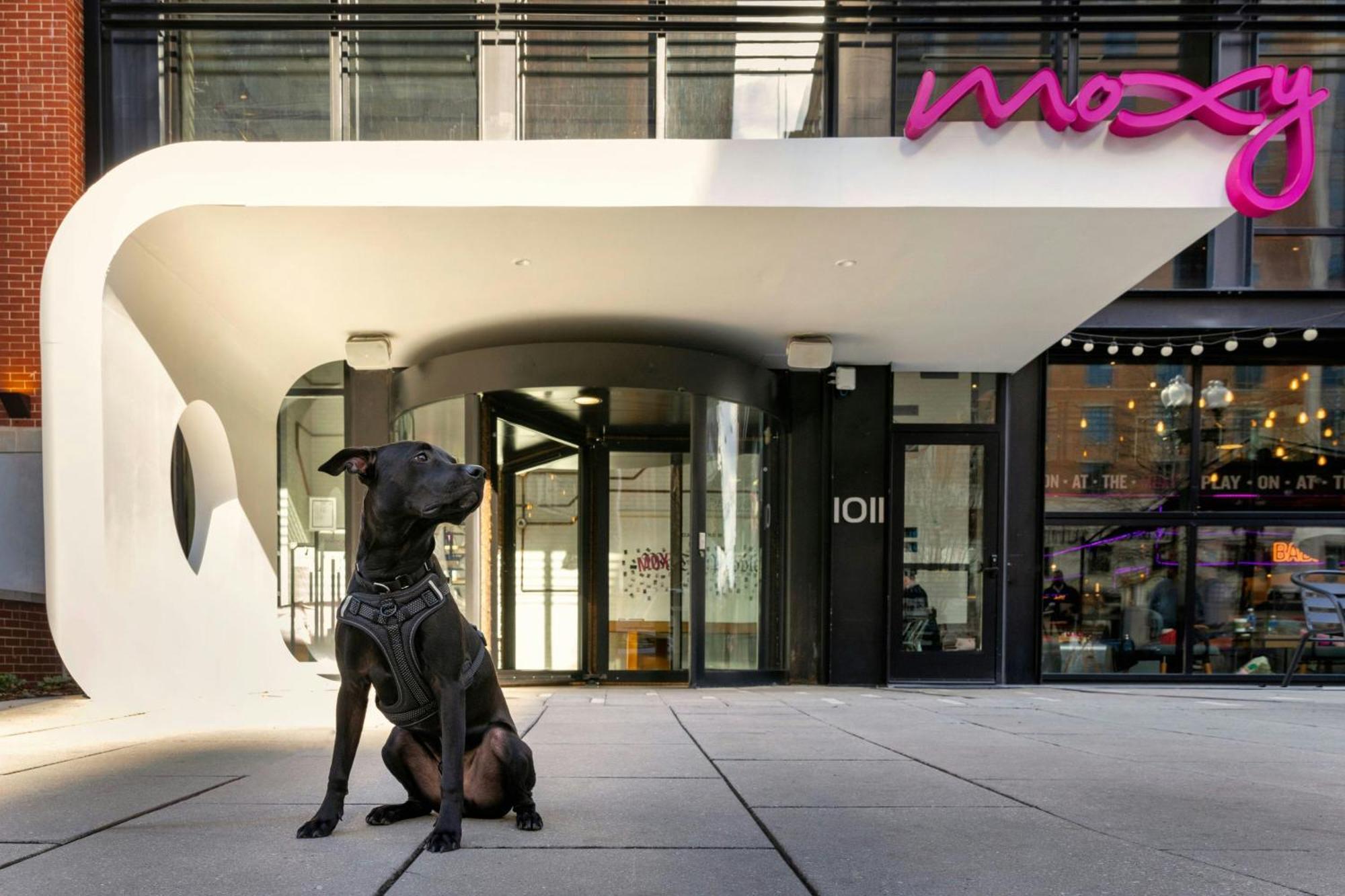 מלון Moxy Washington, Dc Downtown מראה חיצוני תמונה